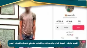 تنويه عاجل.. ضبط شاب بالإسكندرية لنشره مقاطع خادشة للحياء اليوم